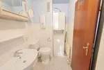 Miniatur 9