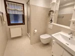 Miniatur 16