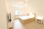 Miniatur 19